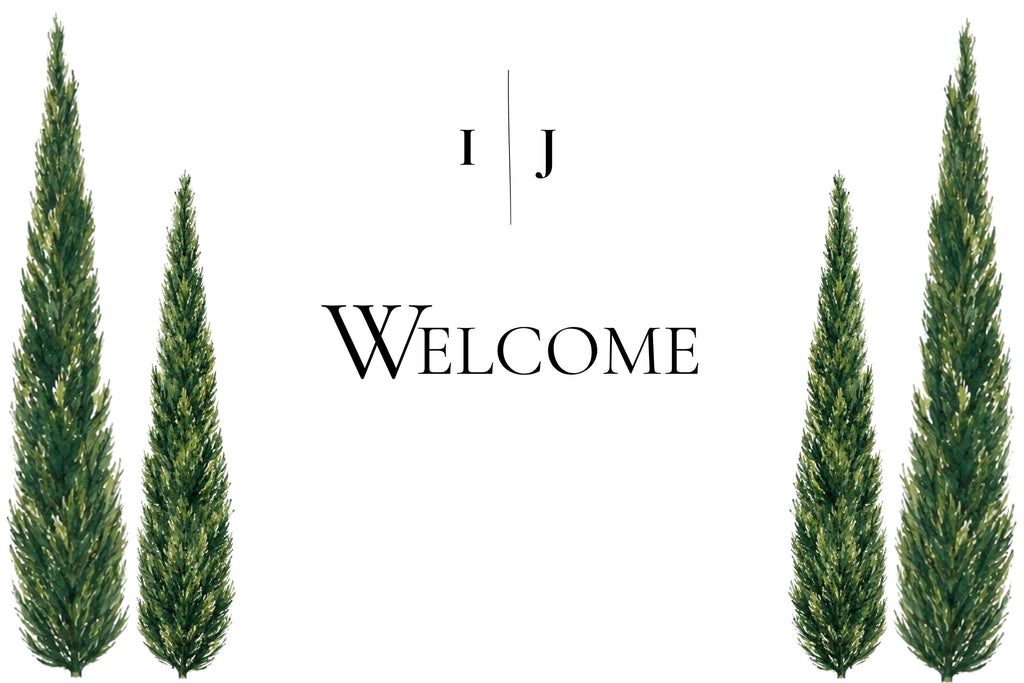 Minimal Cypress and Grape Wedding Reception Sign Bundle | 92 Editable Canva Templates | Welcome Signs, Table Numbers and Wedding Signage